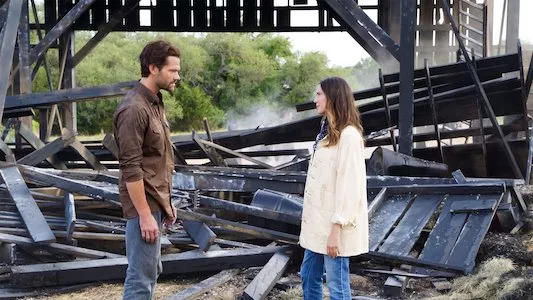 Poster del episodio 20 de Walker online