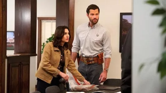 Poster del episodio 12 de Walker online