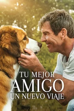 Poster La razón de estar contigo: Un nuevo viaje