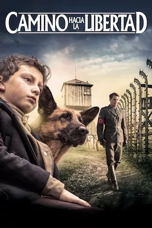 Shepherd: The Hero Dog