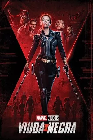 Poster Viuda negra