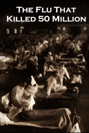 The Flu (Virus)