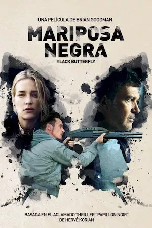 Poster Black Butterfly