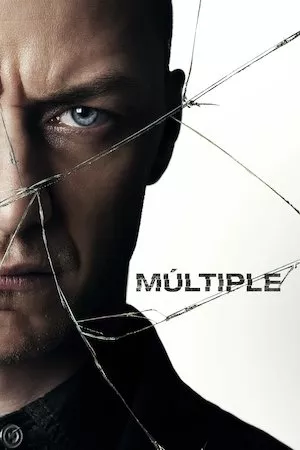 Poster Split (Fragmentado)