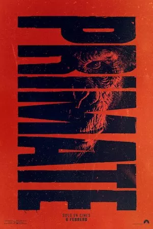 Primate