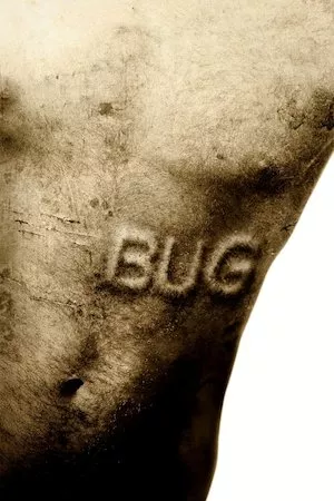 Bug