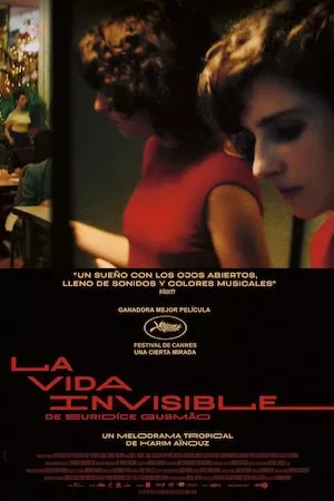 A Vida Invisível