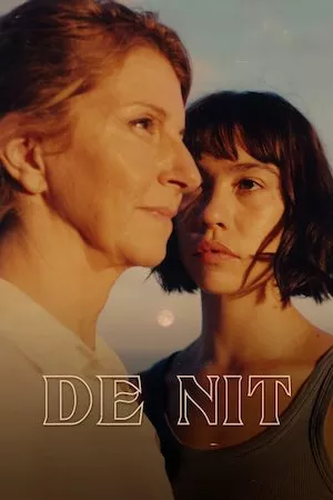 poster de la pelicula De nit en HD