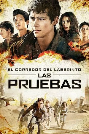 El corredor del laberinto: Scorch Trials