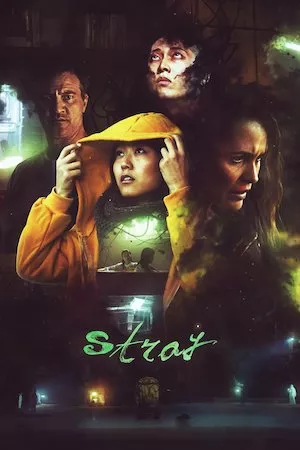 Poster Stray