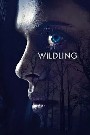 Poster Wildling
