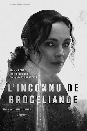 L’Inconnu de Brocéliande