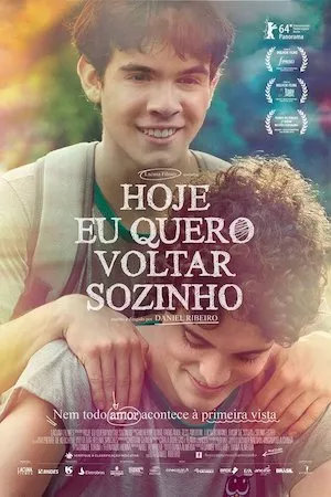 Poster Hoje eu quero voltar sozinho (A primera vista)