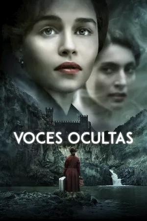 Poster Voice from the Stone