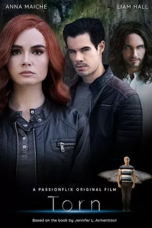 Torn: A Wicked Trilogy