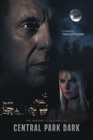 Poster Central Park Dark