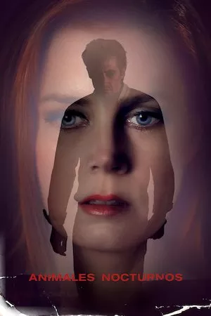Poster Nocturnal Animals (Animales nocturnos)