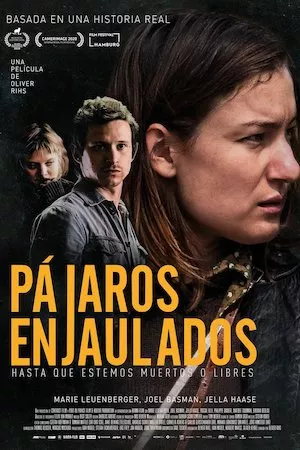 Pájaros enjaulados (Hasta que estemos muertos o libres)