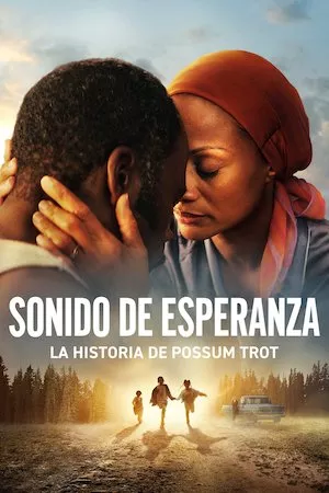Poster Sonido de esperanza