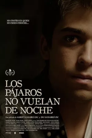Los pájaros no vuelan de noche