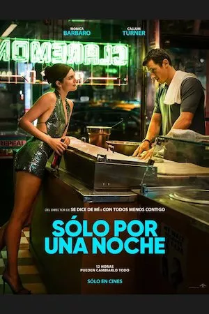 Poster Solo por una noche