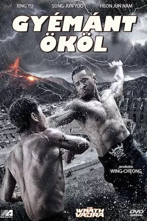 Poster Jin Gang Wang (The Wrath of Vajra)