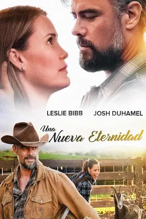 Poster The Husband