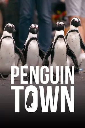 Colonia Pinguinos (Penguin Town)
