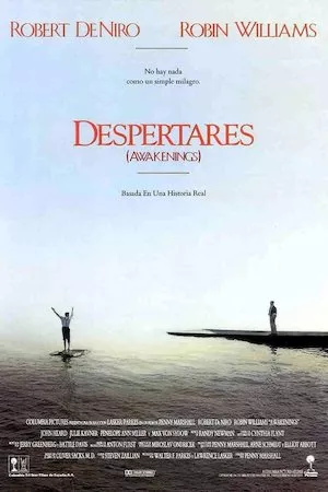 Poster Awakenings (Despertares)