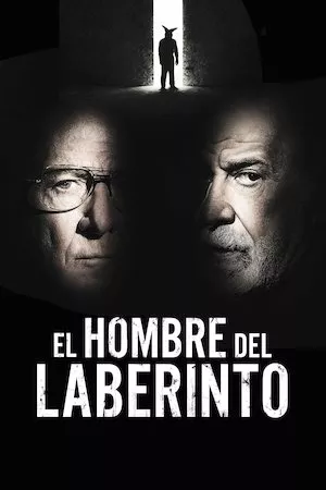 poster de la pelicula L’uomo del labirinto en HD