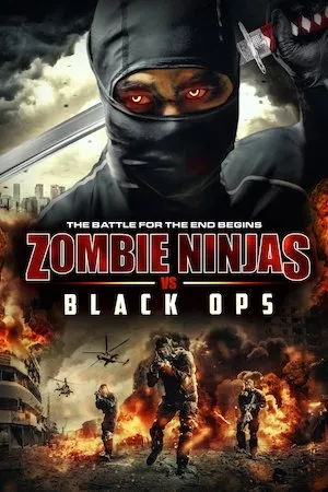 Poster Zombie Ninja vs Black Ops