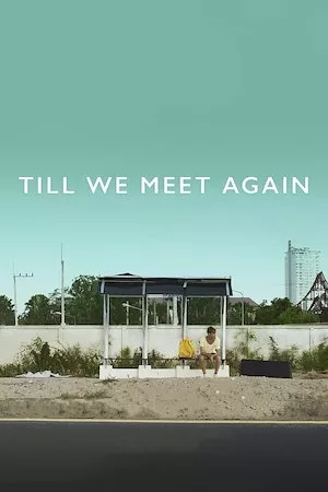 Poster Till We Meet Again