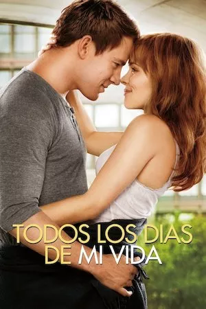 Poster The Vow (Votos de amor)