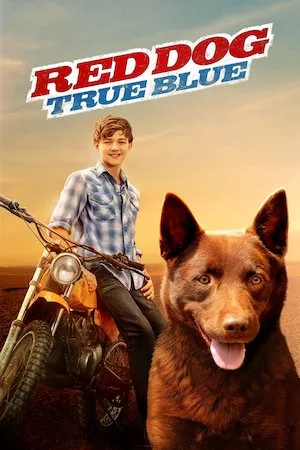 Poster Red Dog: True Blue (Siempre estarás conmigo)