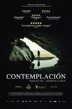 Notes on Blindness (Notas sobre la ceguera)