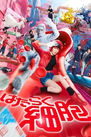 Cells at Work!