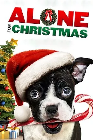 Alone For Christmas (Solo en Navidad)