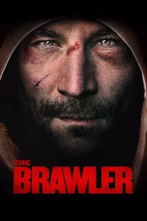 Poster Brawler