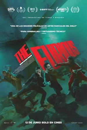 Poster The Furious