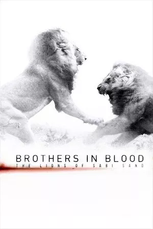 Brothers in Blood: The Lions of Sabi Sand (El rey de la manada)
