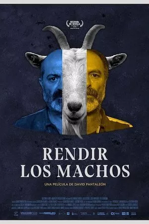 Rendir los machos