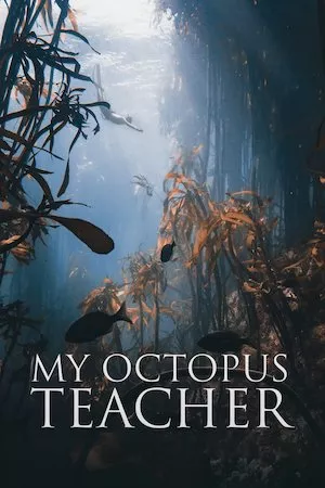 Poster My Octopus Teacher (Mi maestro el pulpo)