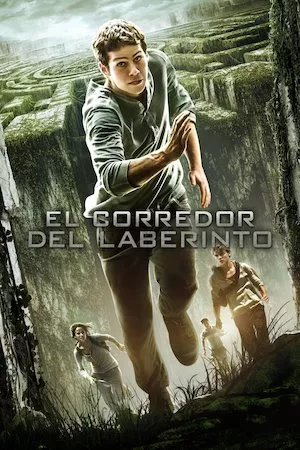 Poster Maze Runner: Correr o Morir