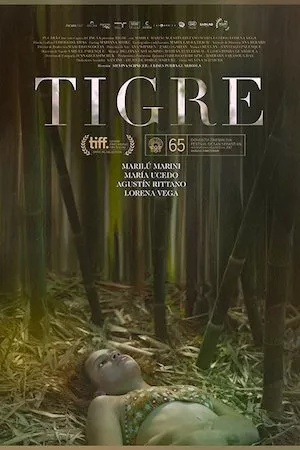 Tigre