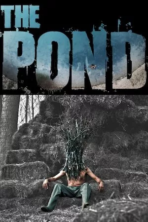 The Pond