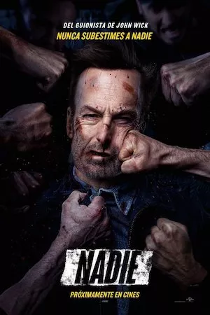 poster de la pelicula Nadie en HD