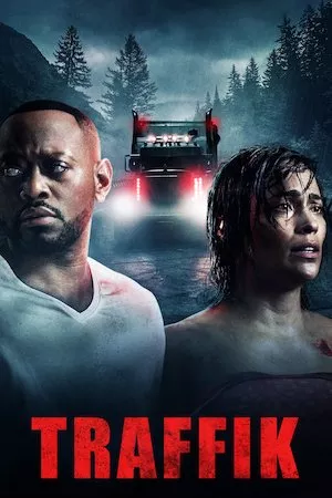 Poster Traffik