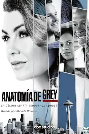 Anatomia de Grey