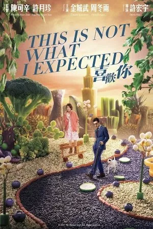 Poster This Is Not What I Expected