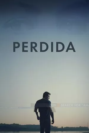 Poster Gone girl (Perdida)